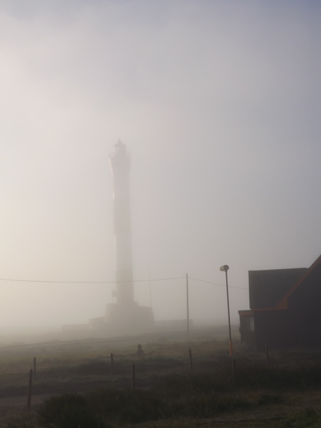15NOV-Misty-Morning