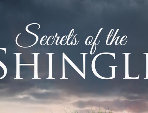 Local author releases fourth book