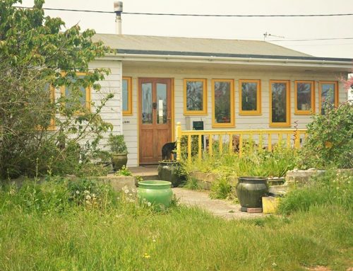 Shacks to Rent ‘Wi Wurri’